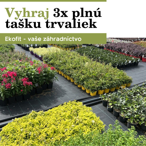 Súťaž &#8211; vyhrajte plnú tašku trvaliek