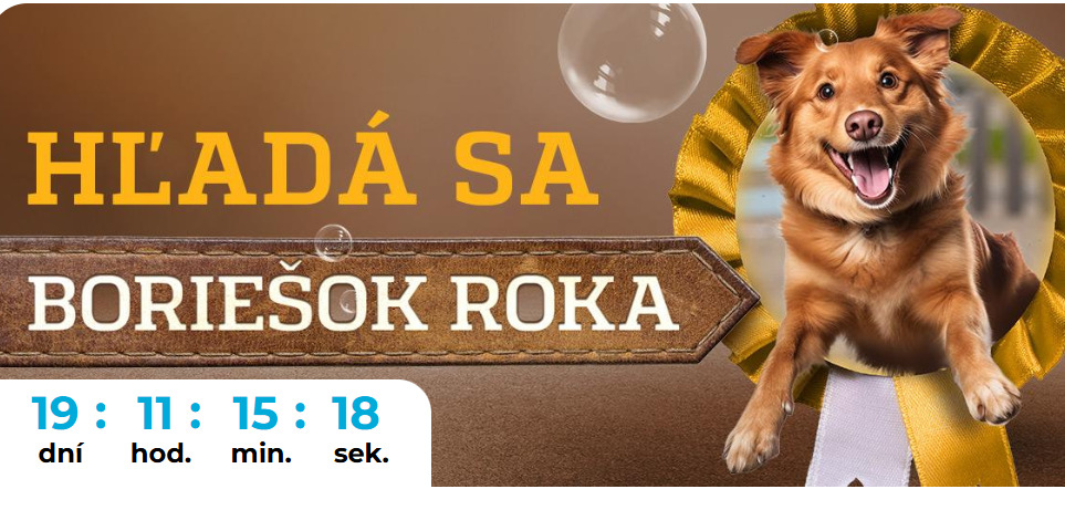 BORIEŠOK ROKA 2025