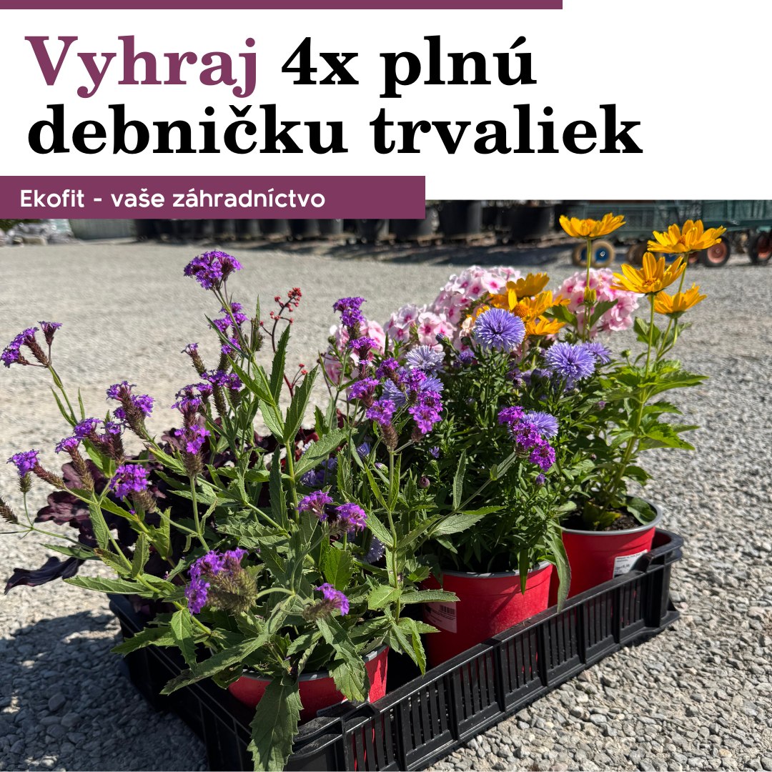 Vyhrajte plnú debničku trvaliek &#8211; FB
