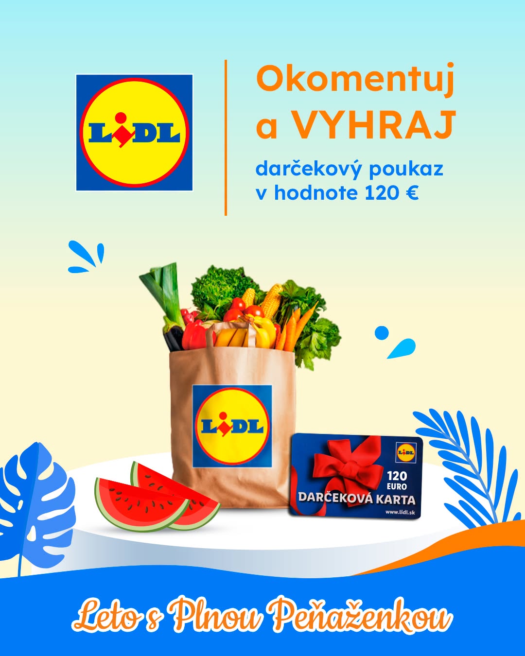Súťaž o voucher na nákup v e-shope Lidl